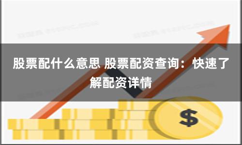 股票配什么意思 股票配资查询：快速了解配资详情